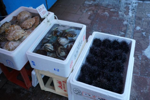 Hakodate Morning Market