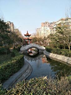 鲁泰公园-淄博-颢颢的爹