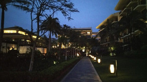 龙泉游记图文-龙泉天青等烟雨民宿的才女老板娘真的是很有……才！