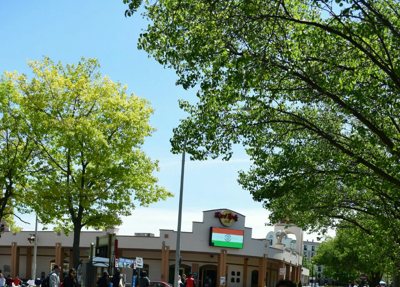 Hard Rock Cafe (Burger Niagara Falls Canada)