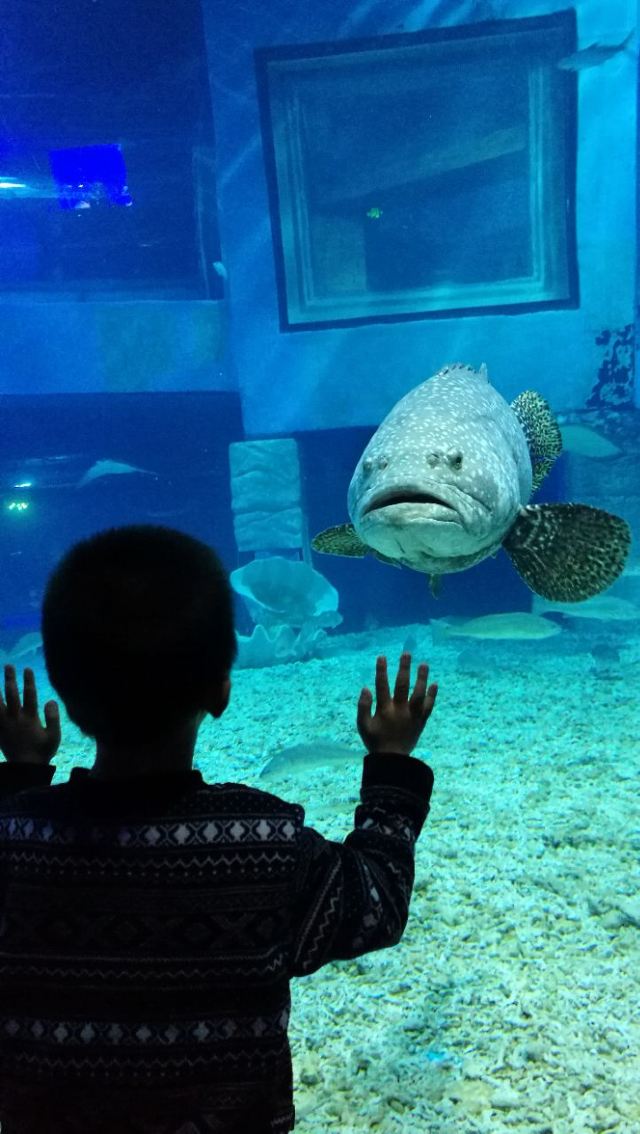 Grandview Aquarium