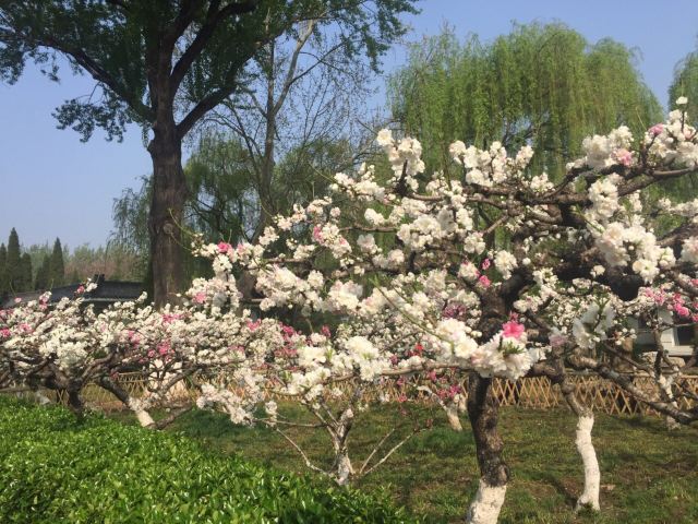 Baihua Park