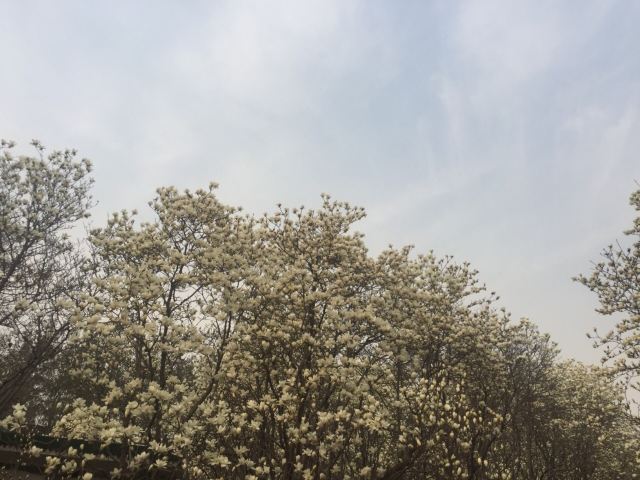 Baihua Park