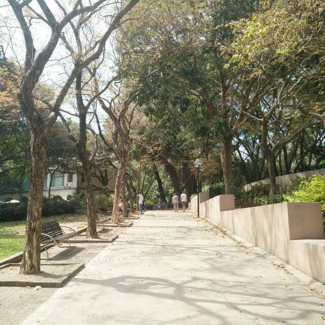 Kowloon Park