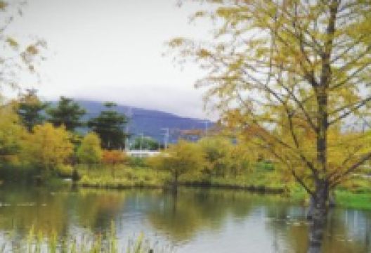 松湖驿站美食图片