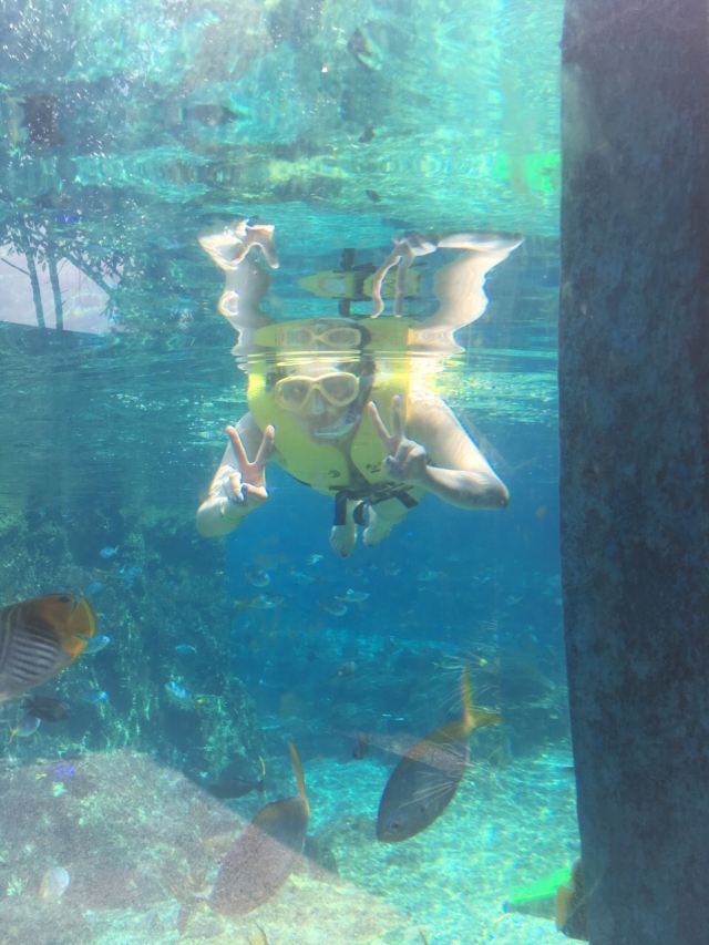 Adventure Cove Waterpark