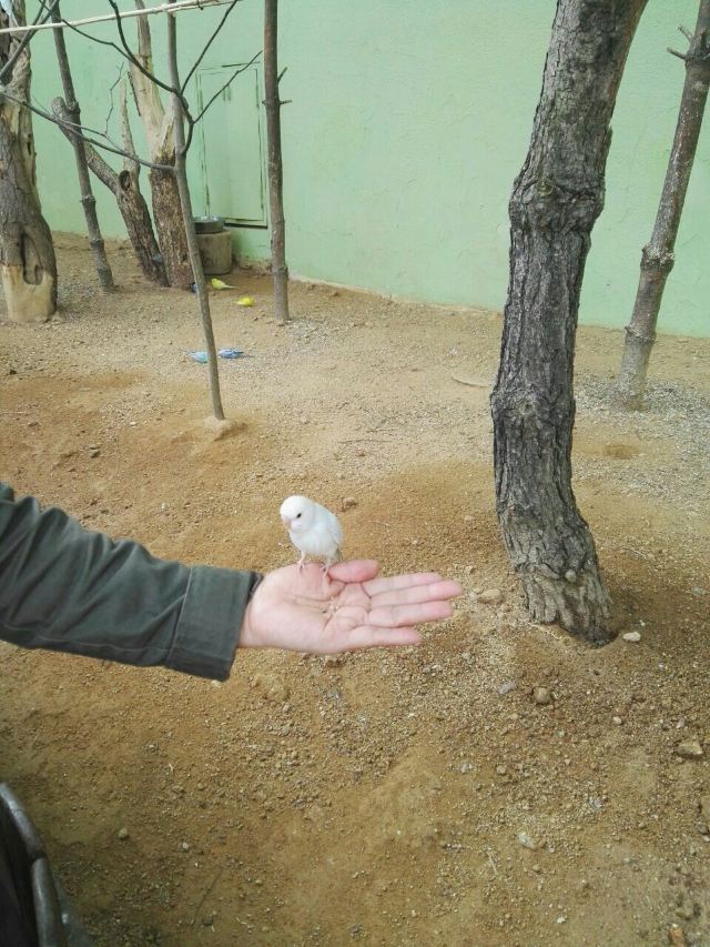 에버랜드