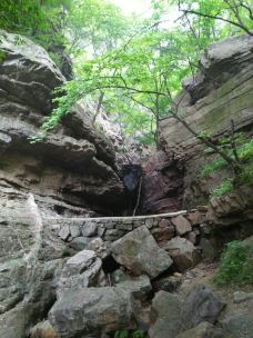 灯台架景区-舞钢-YoYo_8F7A4K1J