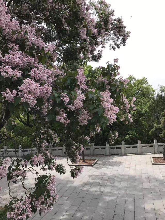 황허러우(황학루)