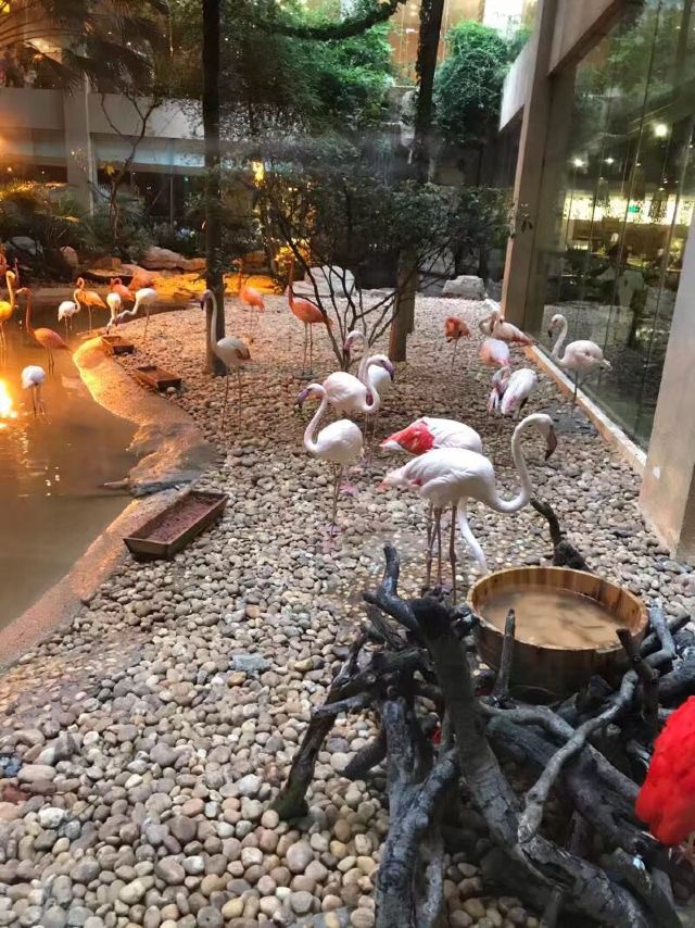 Guangzhou Changlong Hotel Bai Hu Buffet Restaurant