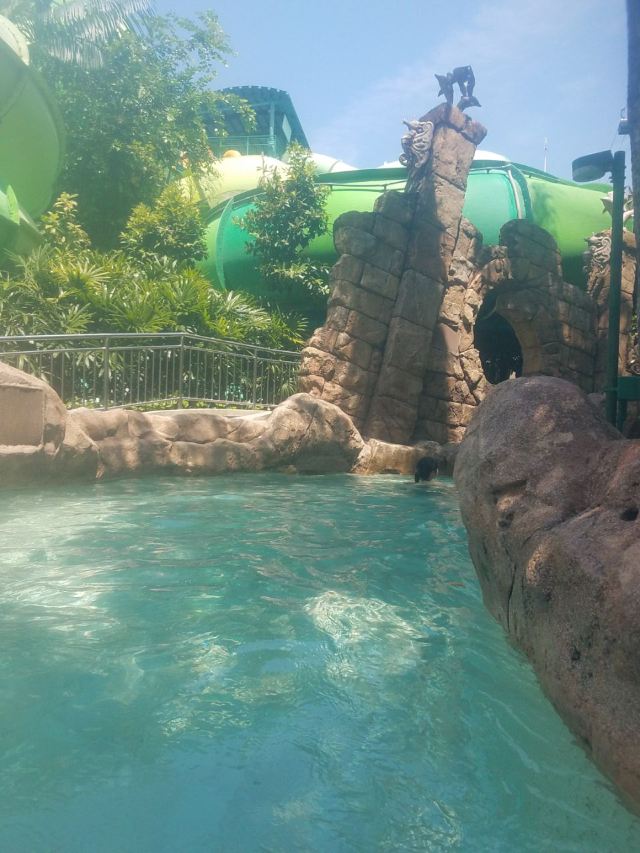 Adventure Cove Waterpark