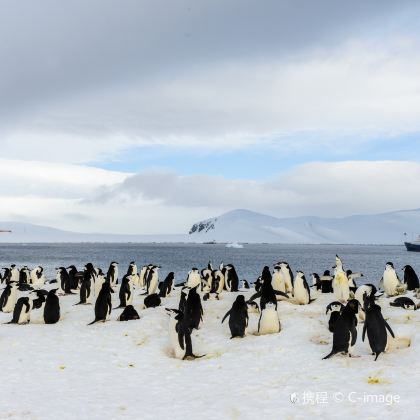 南极洲+阿根廷+德雷克海峡+火地岛国家公园16日跟团游