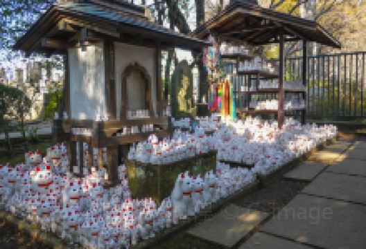 豪德寺景点图片