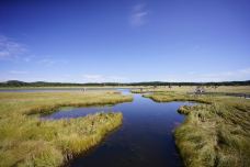 七星湖湿地公园-围场-YoYo_2Q6Q1U3A