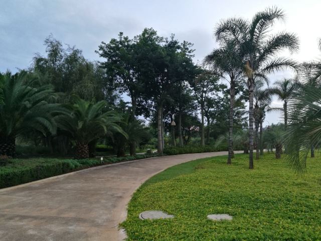 Yueliangwan Wetland Park