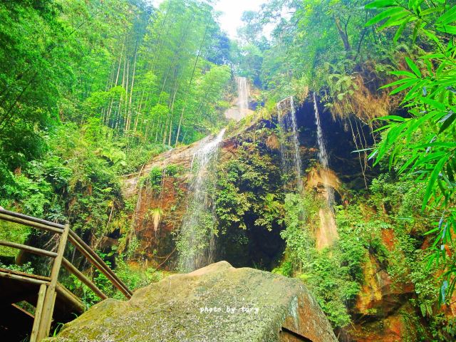 Shunan Zhuhai (“South Sichuan Bamboo Sea”) National Park