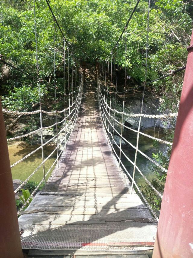 Wuzhishan Tropical Rainforest