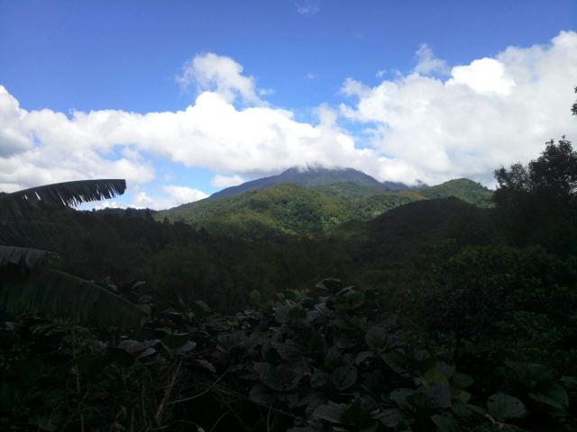Wuzhishan Tropical Rainforest