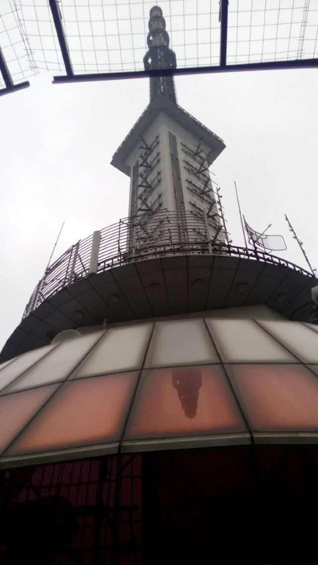 톈푸 판다 타워