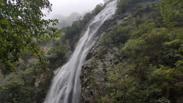 太白山國家森林公園