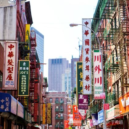 美国纽约+费城+华盛顿+波士顿11日10晚拼小团