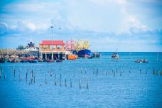 山茶半岛-岘港-doris圈圈