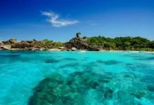 Fe2Decor购物图片