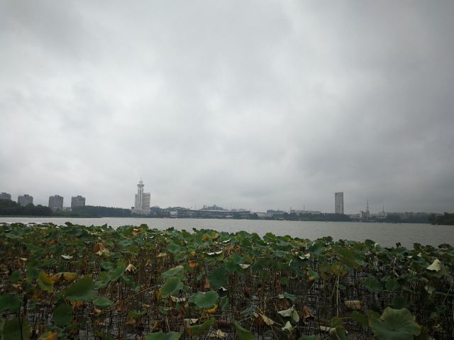 Xuanwu Lake