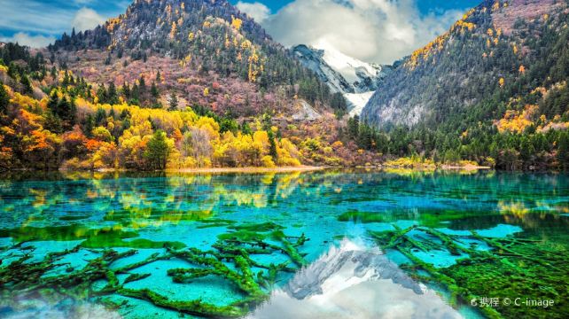 九寨沟、成都+7