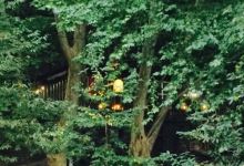 Grotto Del Mulo美食图片
