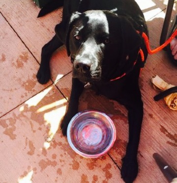 The Bistro at Liberty Square餐厅图片