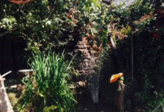 Cafe Edem美食图片