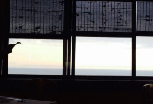 Restaurante Mini Golf美食图片