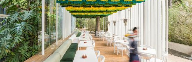 Saul Bistro - Zona 14餐厅图片