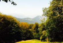 Grotto Alpe di Brusino美食图片