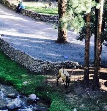 Sacred Grounds Coffee餐厅图片