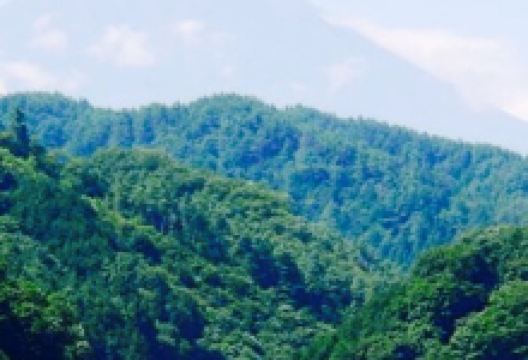 Hatsukari Parking Area (down line) Snack Corner美食图片
