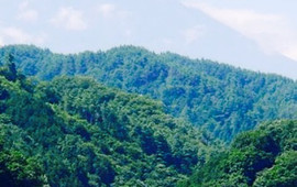 Hatsukari Parking Area (down line) Snack Corner