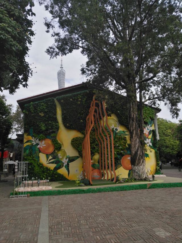 TIT Creative Park