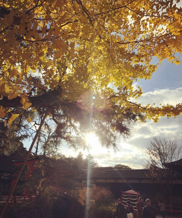 下鴨神社