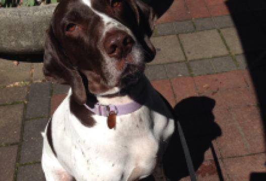 Smoke On The Water美食图片