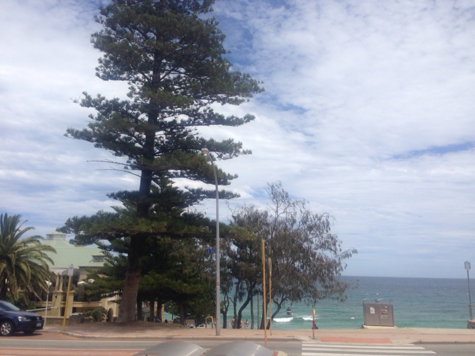 Amberjacks餐厅图片