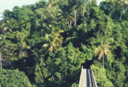 Gordito's Fresh Mex美食图片