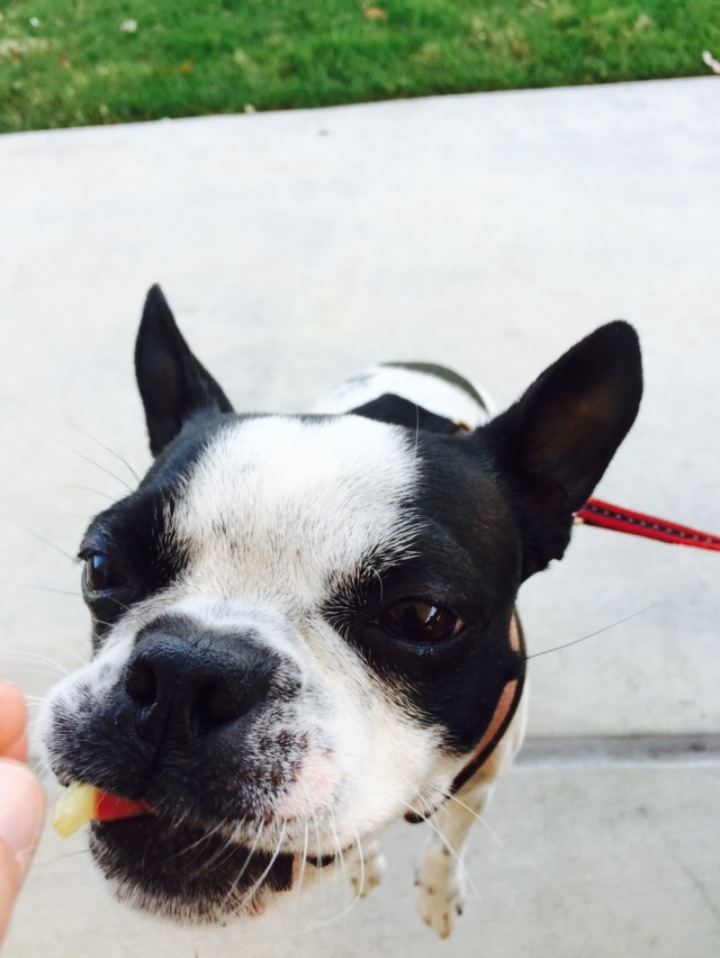 In-N-Out Burger餐厅图片