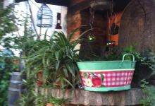 Hostal Palacio Restaurant美食图片