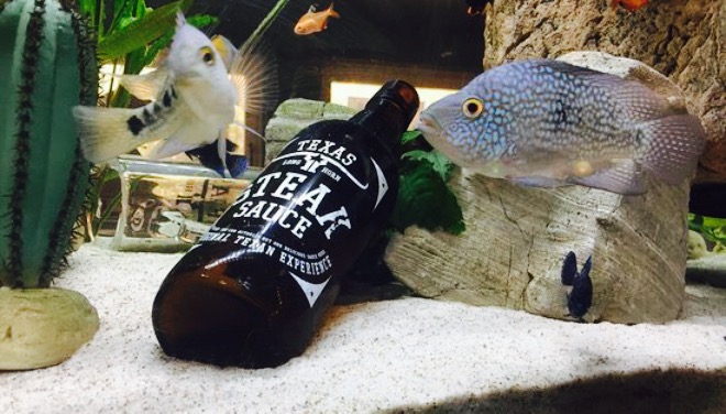 Texas Longhorn餐厅图片