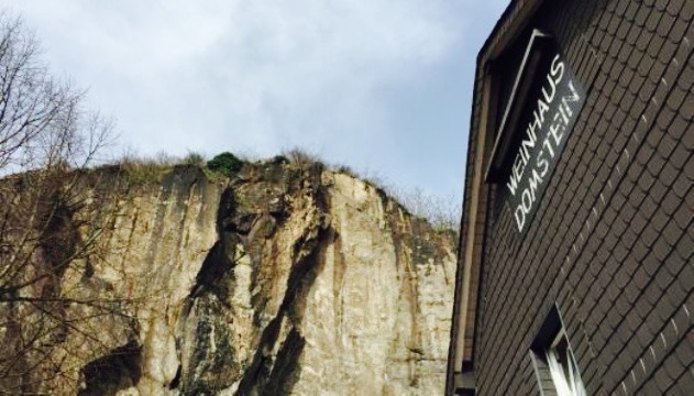 Weinhaus Domstein餐厅图片