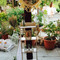 Faros Restaurant Cy