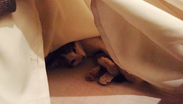 La Ribaudiere餐厅图片