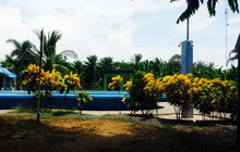 complejo turistico huetar餐厅图片